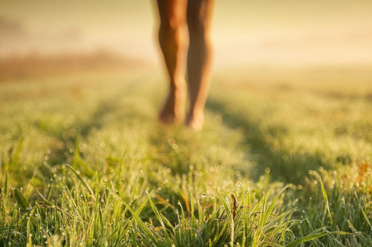 Barefoot person walking on dewy grass at sunrise with soft golden light.