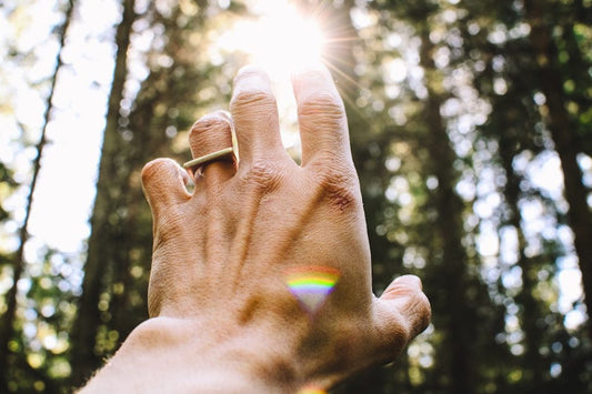 A hand reaching toward sunlight in a forest, with a rainbow lens flare and sunbeams breaking through trees.
