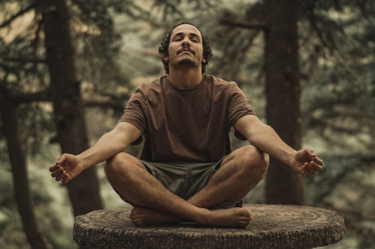 Man meditating barefoot in a forest, seated cross-legged on a large tree stump.